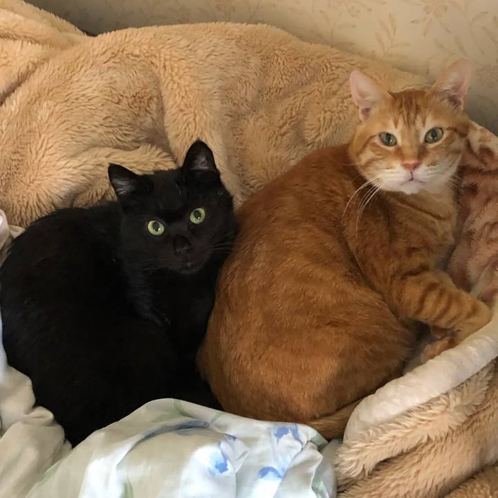 C5a805e3 9b43 42a2 80b4 9e954e65e56d 1572740674591