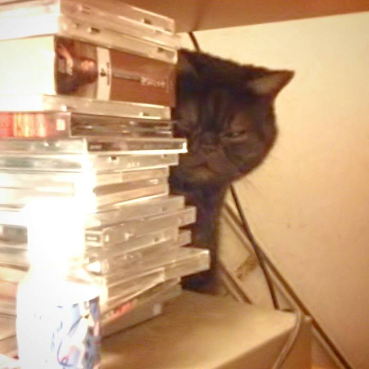 C5a83031 35f3 4178 9d9b 765e75f68937 1563229637030