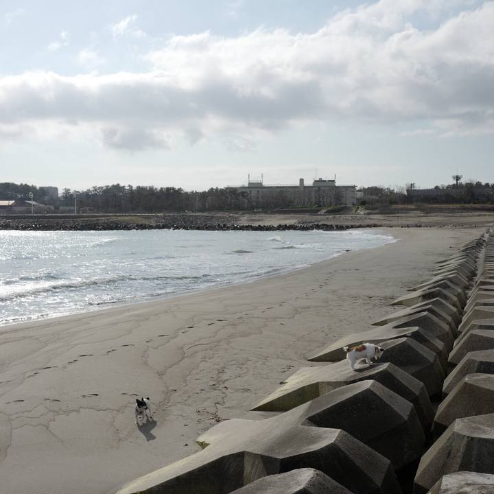 C5a84a03 54b6 481c 8f75 4bca4205d0fc 1555386170997