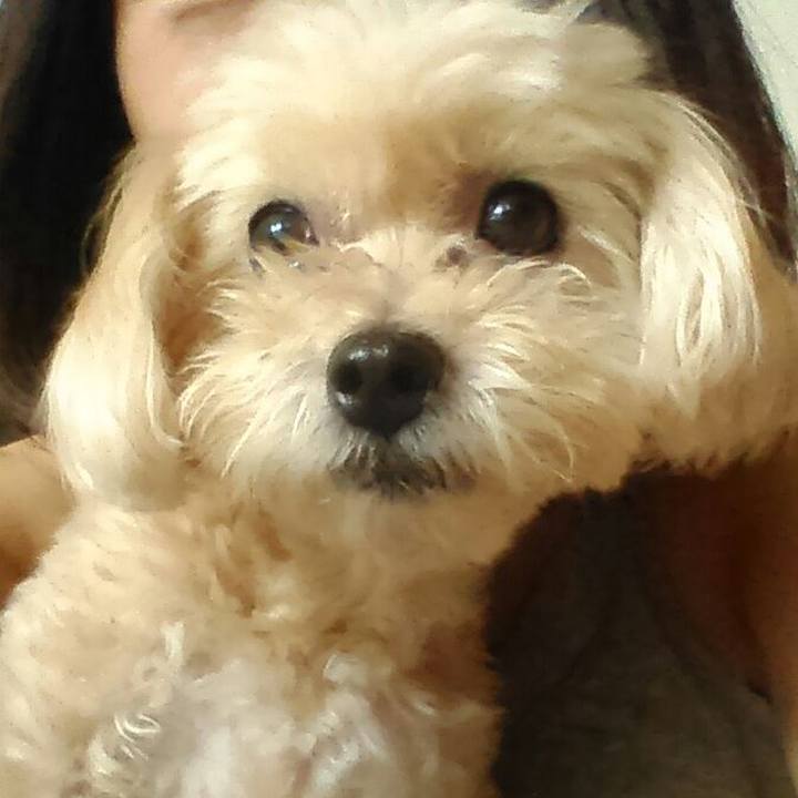 C5a8abf4 cdfc 4316 83a0 823e6714673f 1538048321218