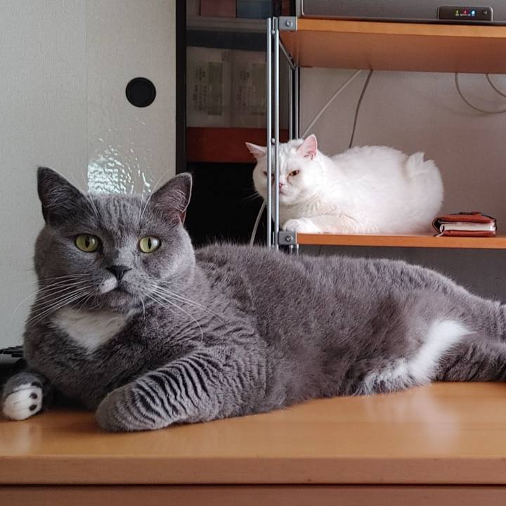 C5a8b86c 3514 4dda 974f 92645904ae67 1657976114881