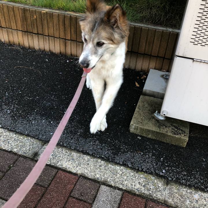 C5a8bb86 bc23 4a59 9aee dc6c67c68d5d 1534200825920