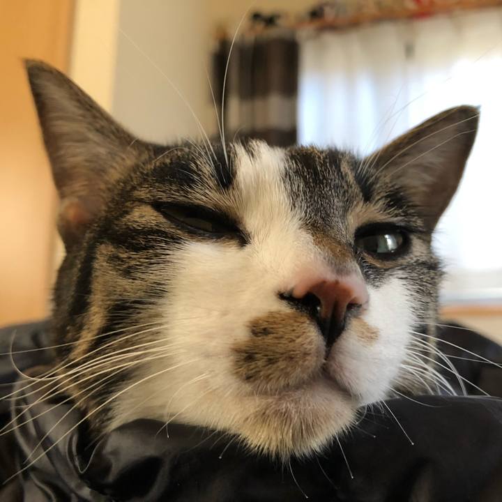 C5a8cac2 2b2b 4da7 a8b1 243c8a01b6de 1546778912665