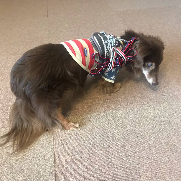 C5a8d0bd 4807 42e1 9638 6731fdfefa59 1556514800297