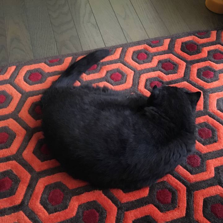 C5a8e4b3 cf0f 4a87 a94d 3e1e563e51d3 1533853372734