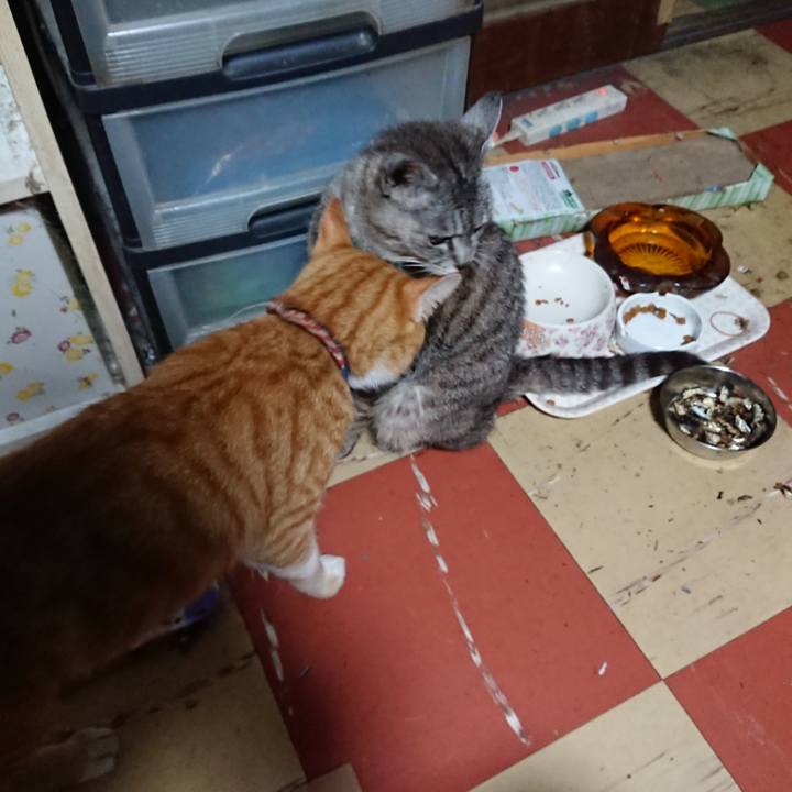 C5a8ec10 c9c9 40d0 b5e1 7b40cdfea607 1565985068245