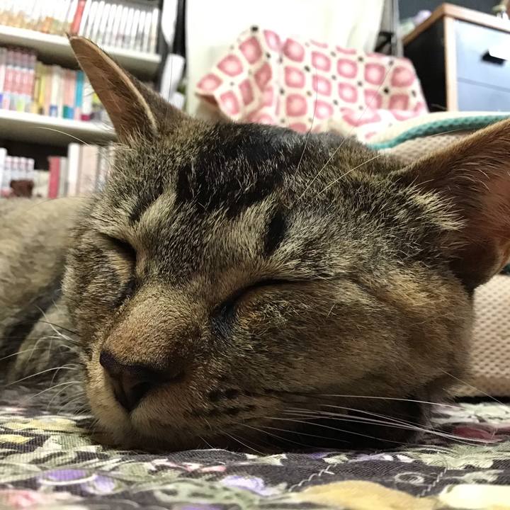 C5a8f184 652f 4d2c b352 824e474b351c 1592094623635