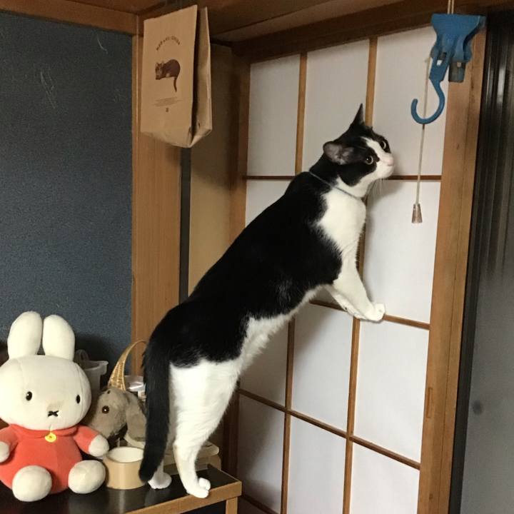 C5a91dc8 b0dc 41e4 87f6 d7de0ea71067 1695473922190