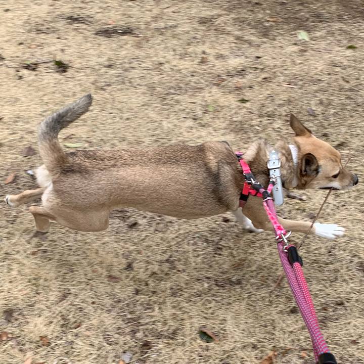 C5a9469a 233f 4810 88e9 4b90574a1e93 1583560567844