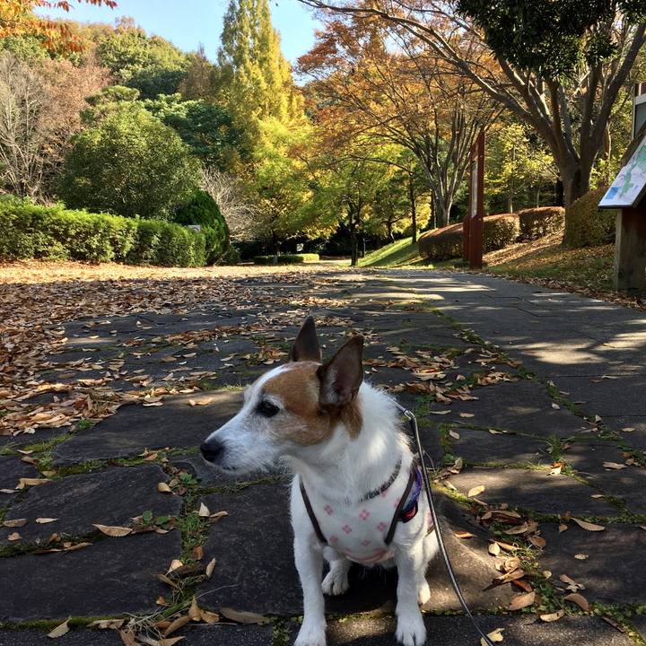 C5a956a5 d931 4d6e a63e 012e2aafb5b4 1636244355839