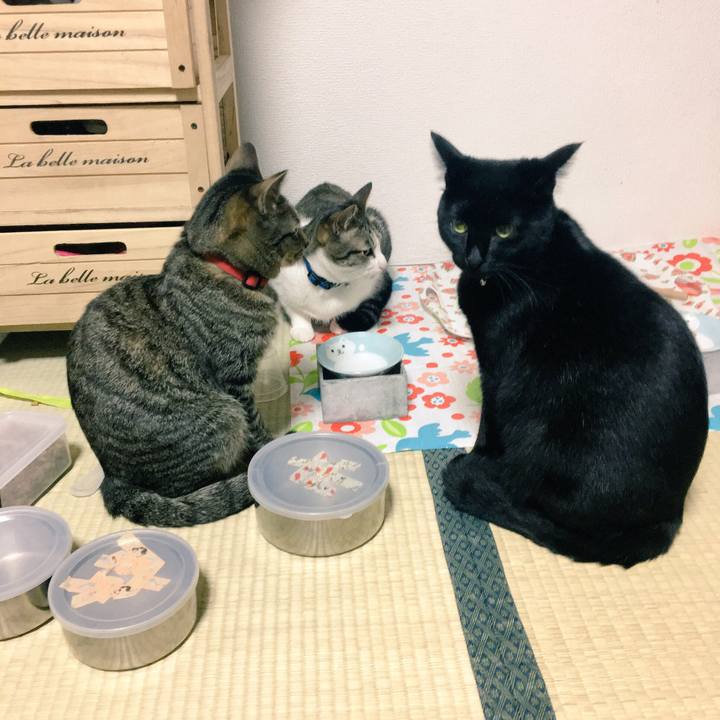 C5a995cc 7676 4ff2 a8cb 3c1c90d887a1 1511060702984