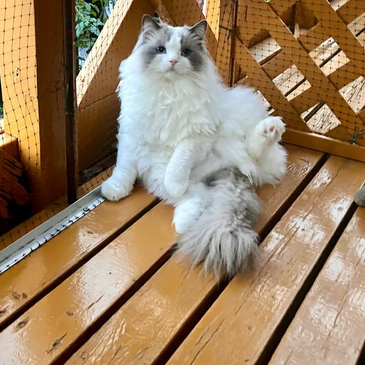 C5aa1d65 b18d 46a0 9da9 32676548180c 1751320408238