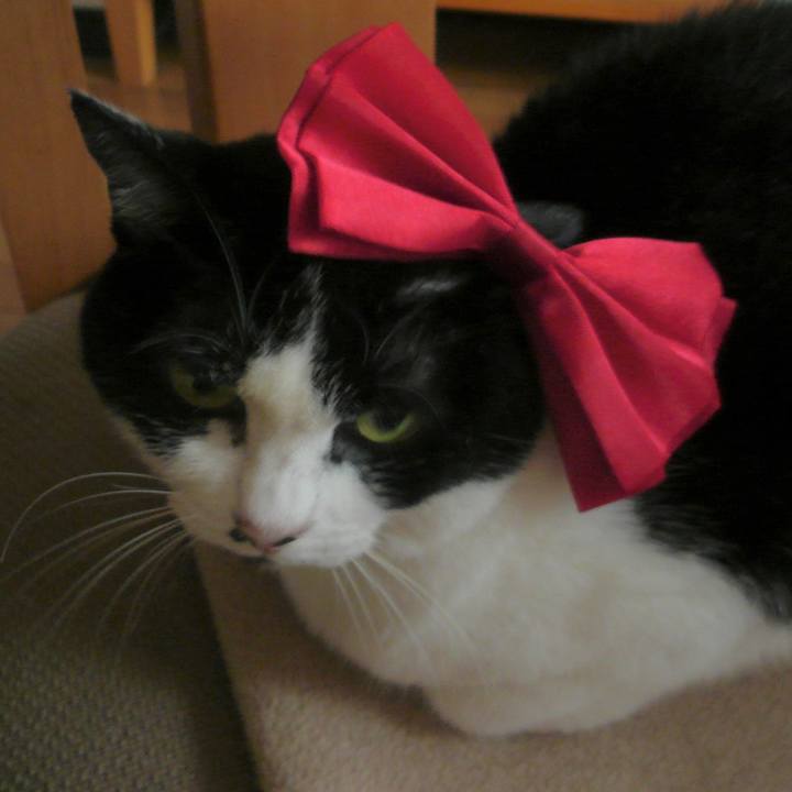 C5aa22ee fa2f 41dc b720 bed1fbcc8d33 1628639485727