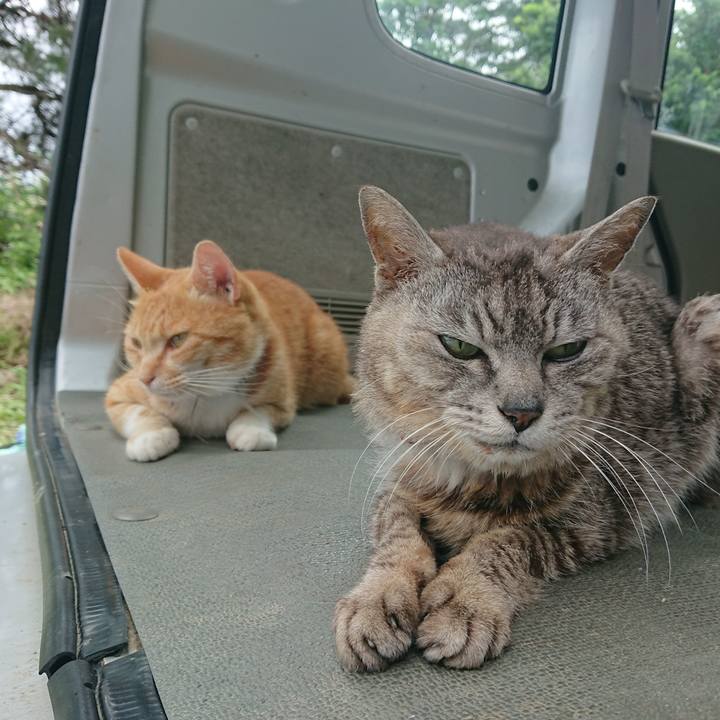 C5aa4148 e33f 483c a50f 5d45dbfc67ad 1593931590969