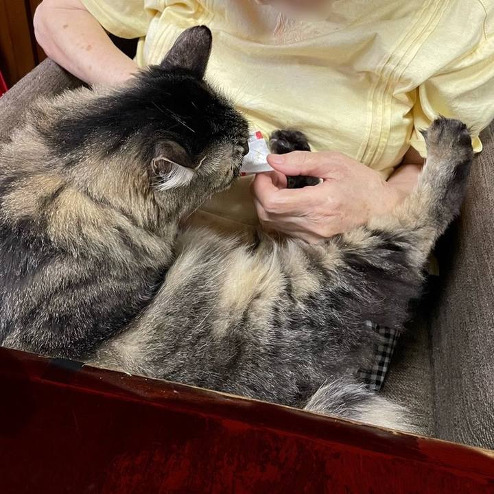 C5aa460a 18e0 4e71 9544 608354128b66 1758269539906