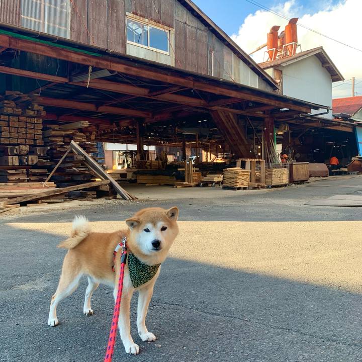 C5aa6a4c fe21 4f65 97d6 5dfa1ba5b1e1 1676451145596