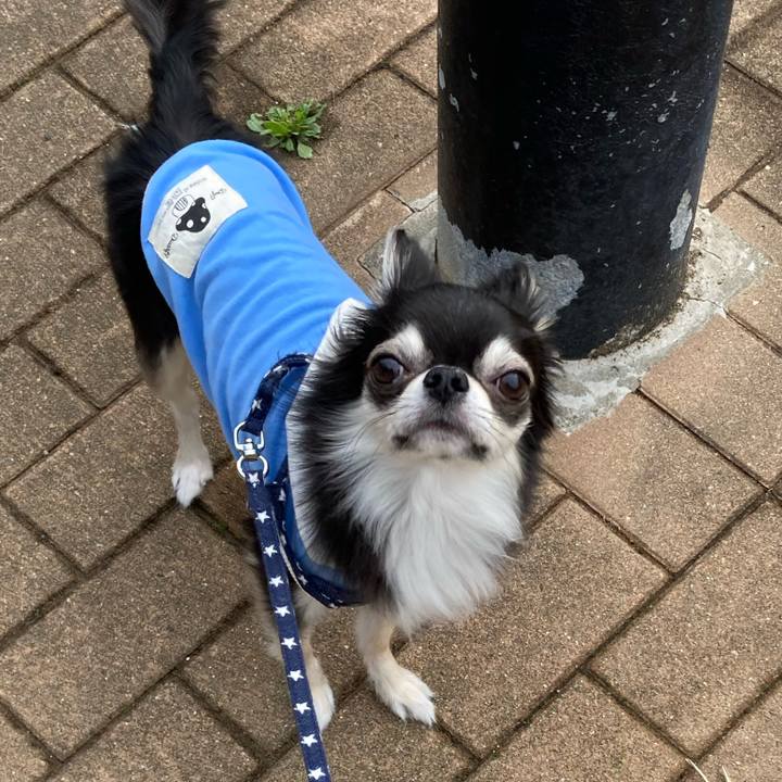 C5aa9975 5a02 4644 96ba 5dda656bf9d8 1648363541887