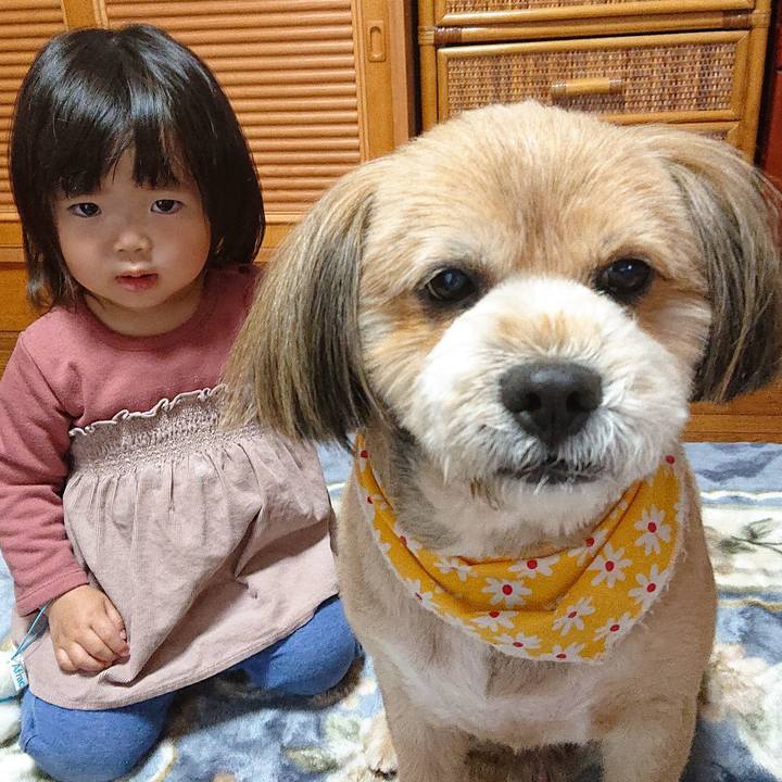 C5aaaf61 98e8 40ee 8710 7ebd300e7ce5 1586780155721