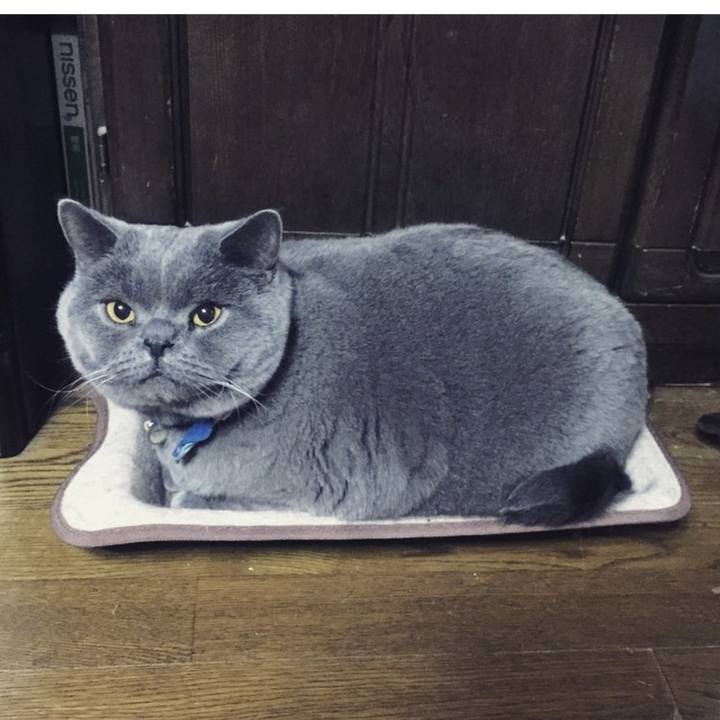 C5aac0a3 1be8 43a3 9cec 325928df01ac 1773477562087