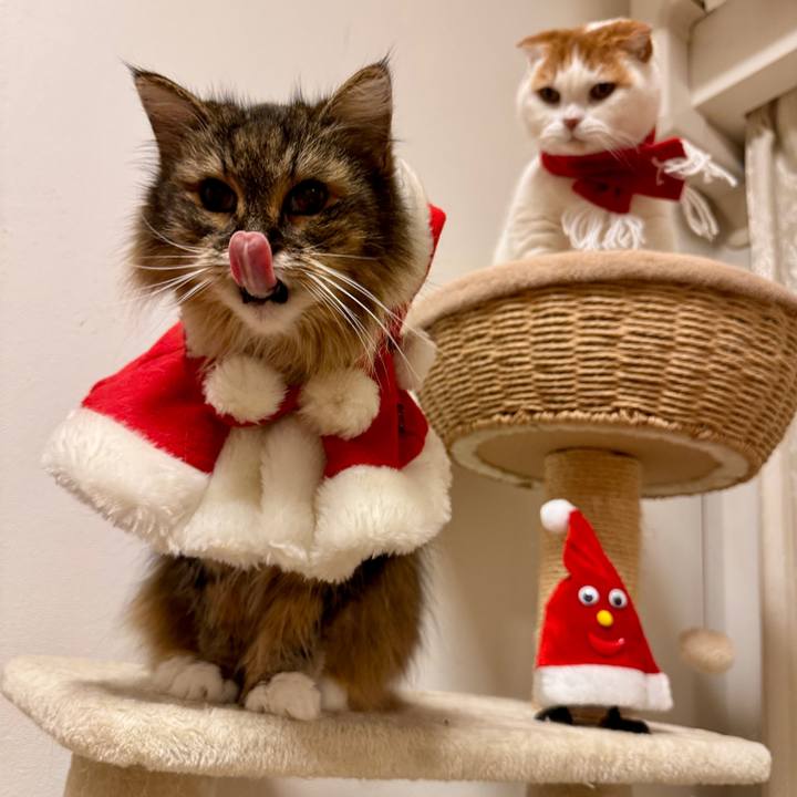 C5aacea2 c08b 4b4f b9ab 7f1e39abb284 1766587175380