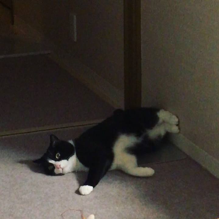 C5aae61c c731 46d1 ad63 f219918ed0fb 1623938442047