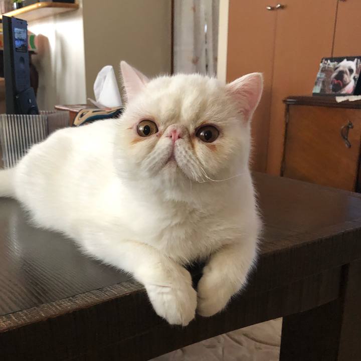 C5aaefe2 349a 4e8c a246 2348f1b707a7 1565750320883