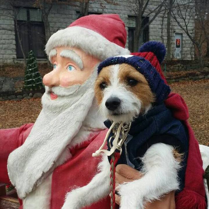 C5ab19bb d4e2 4750 8110 7bc8bf1c5afb 1543825638663