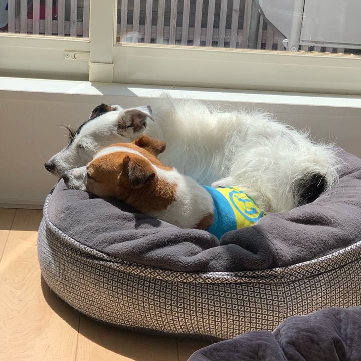 C5ab305c b86f 4d13 8113 8982a1ef90b6 1617935886616