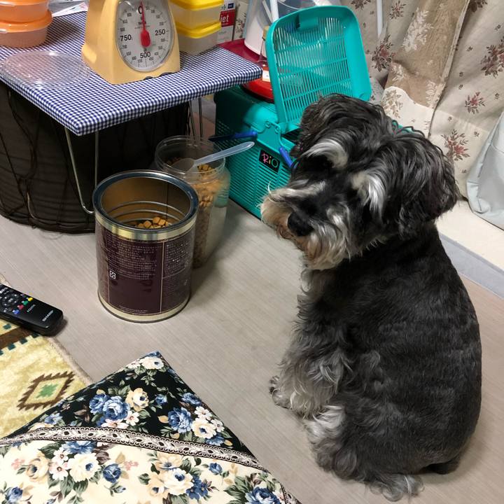 C5ab3d1d 03a4 4d8d 8443 034caeeeb130 1639821236456