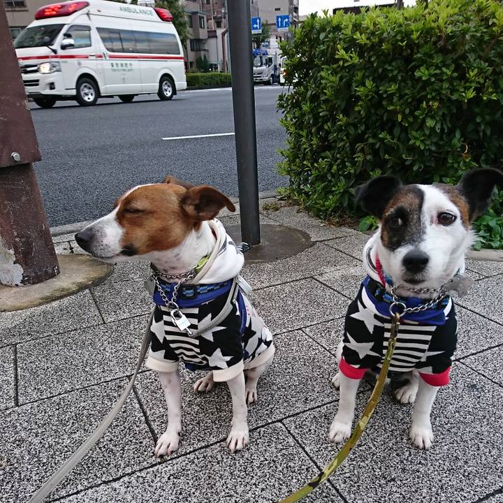 C5ab5dd4 79dc 49d3 9de2 33141d073ccd 1574115929032