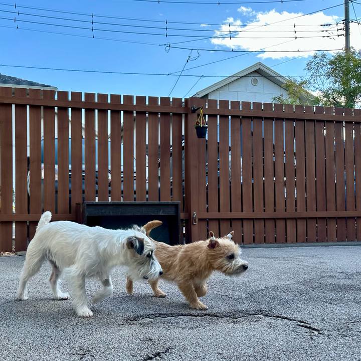 C5ab8ca9 693f 4de3 a4c3 0d77ade3f21d 1705151179301