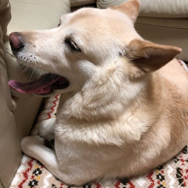 C5abc1cb 58bf 4507 b421 0ad994a92c0d 1549582614126