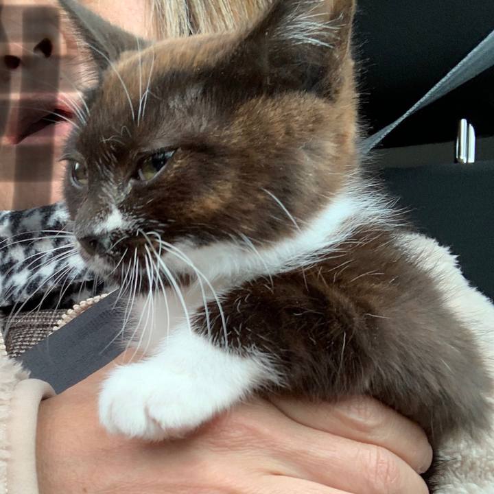 C5abd0b6 beb1 4de3 9e47 6d2be651c800 1579347491506