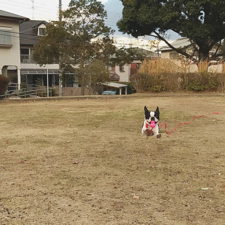 C5abdd34 b297 41e4 ad5a c011ead7d775 1512785707803