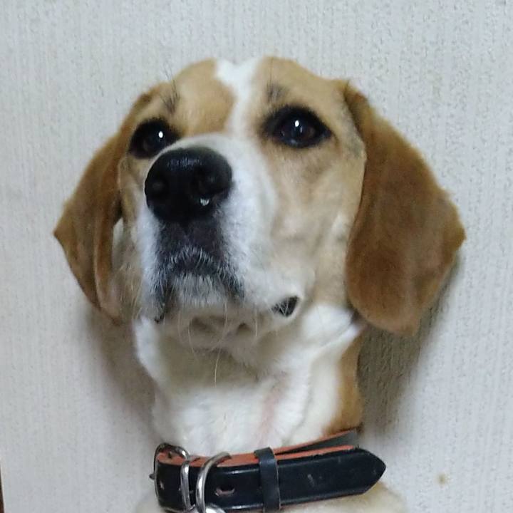 C5ac20fa 940d 45ba 8f6c 3ffd82442dd9 1625470165889