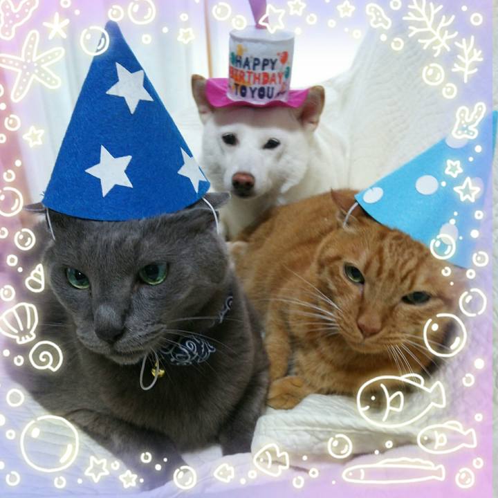 C5ac370b 5267 48e5 af40 25a9e4dc247a 1563590898838