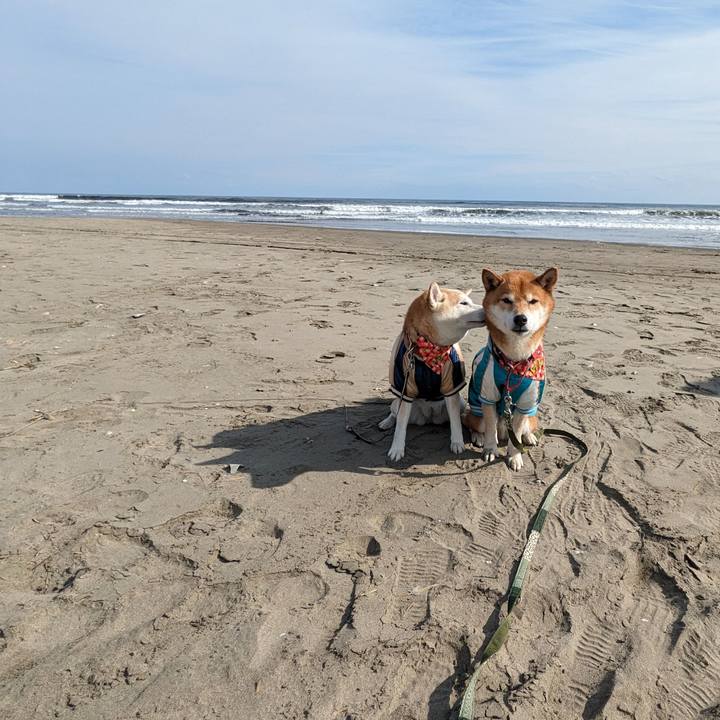 C5ac3926 ae5d 4b1b 949c 5a61dc587033 1707702152670