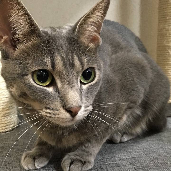 C5ac5338 b4a5 469e abed 0e67bf9ec1cf 1521597338089