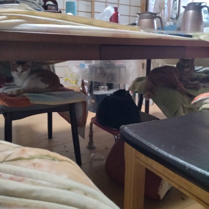 C5ac66b4 f5ae 4512 a97d a3805d891083 1739660320348