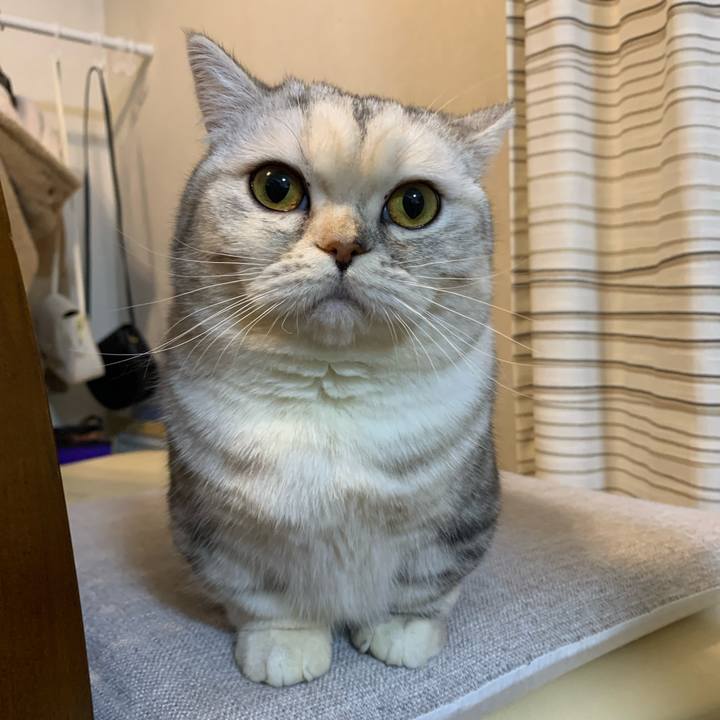 C5acb820 6af2 435f a45e 81fe9b49ece2 1707728676029