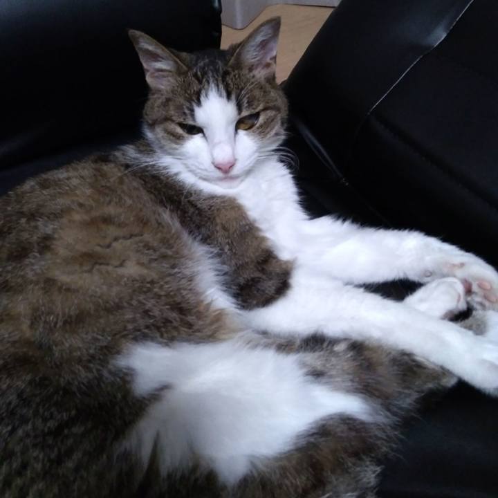 C5acfe6e ed62 457a 8577 cb1f612cbde2 1527863549848