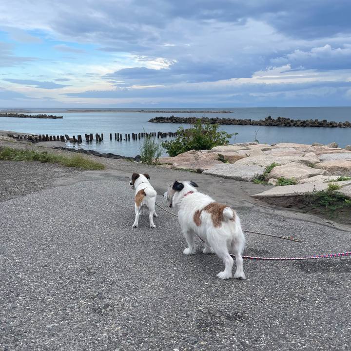 C5ad49cc 2ee6 4554 9609 423d7121771f 1726785875111