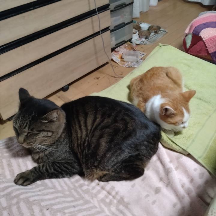 C5ad7d65 b1ad 4ec2 a377 679828a6a76b 1733734890295