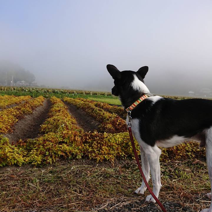 C5ad86b0 a27f 4fdc 83e2 bf01ed6fe098 1540594901059