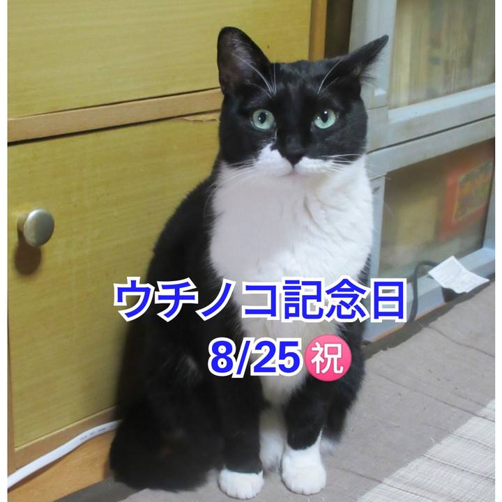 C5ad9855 dcf8 4b5a a1bc f486768322cc 1629847337969