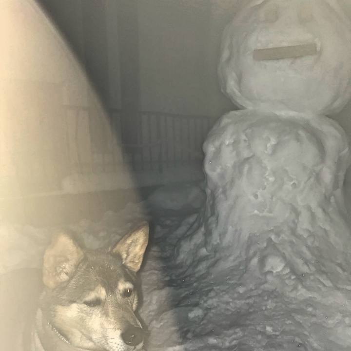 C5ad99a1 05ba 4349 b133 777309b84983 1516697613966