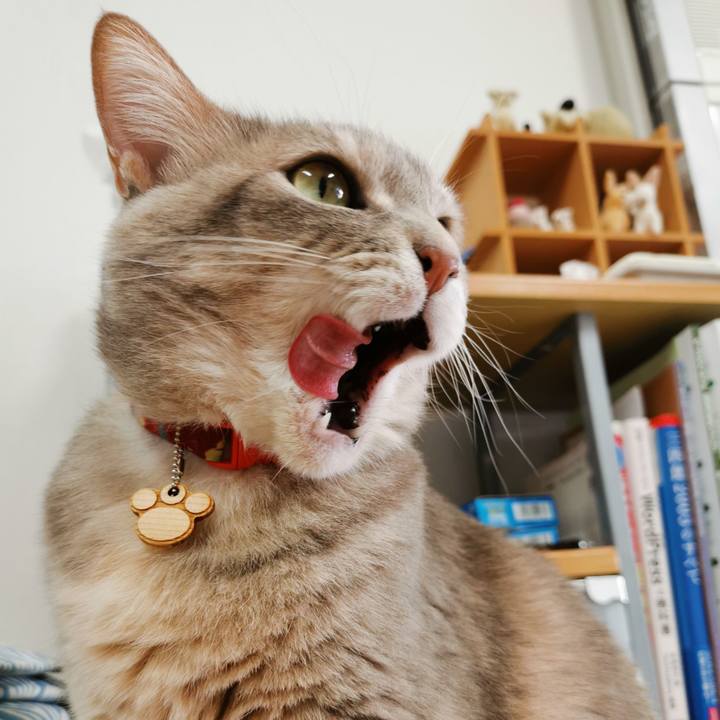 C5adc7a2 18f1 484e 9e6e e300a57b0238 1617248065325