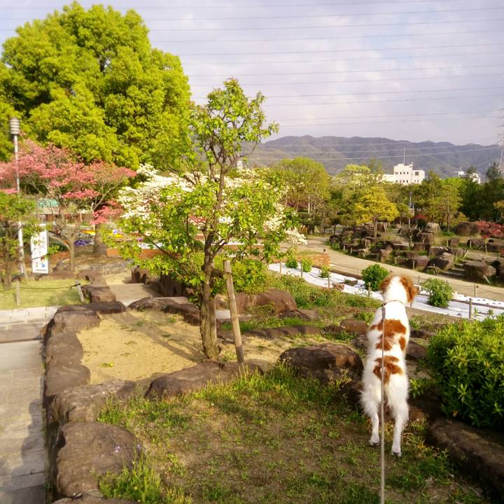 C5ae87d1 ee0b 4a01 85a9 6bff52ce12e0 1523274499483