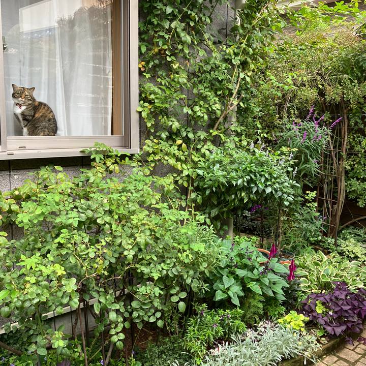 C5ae8943 a40c 4a93 892d 8a0ecf1987a0 1761890214081