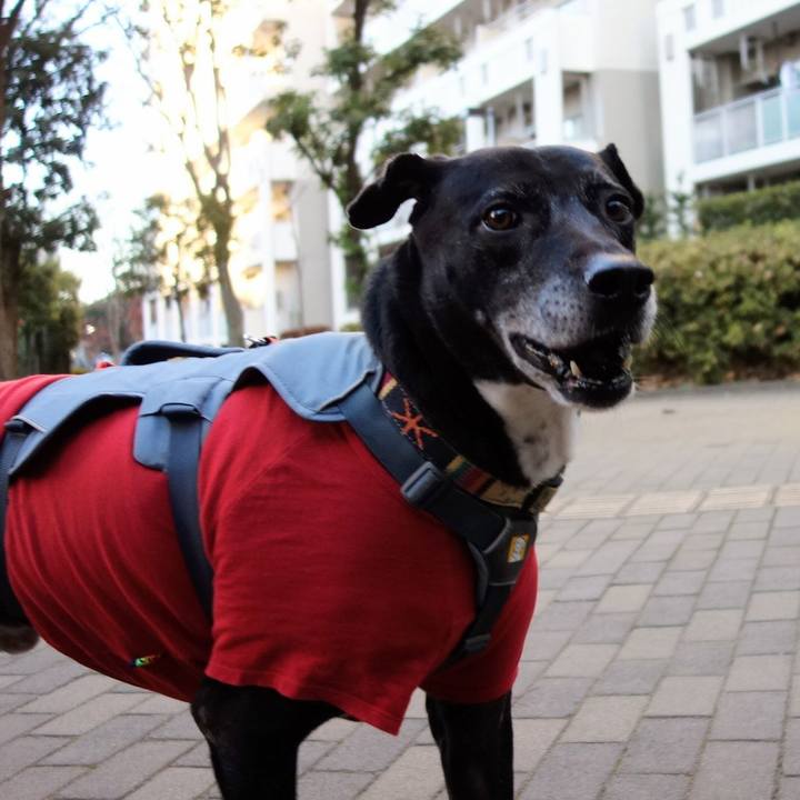 C5ae8d26 56c4 4331 b220 467951180e98 1735001240399